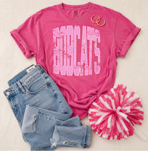 Load image into Gallery viewer, Pink Out Mascots Graphic Tee *Pre-Order*